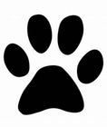 Load image into Gallery viewer, 🐾 CHAMOMILE CALM — Pet-Friendly Home Organic Luxury Candle UK