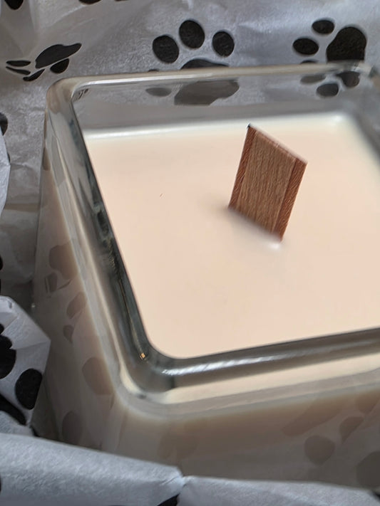 Frankincense  — Dog-- fiendly pure Organic essential Frankincense  soy Candle