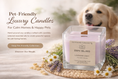 Load image into Gallery viewer, 🐾LAVENDER DRIFT — Pet-Friendly Home Organic Candle- ZenBlissEssence, UK, £19.99
